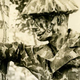 Illustration for article titled The History of Invisibility and the Future of Camouflage